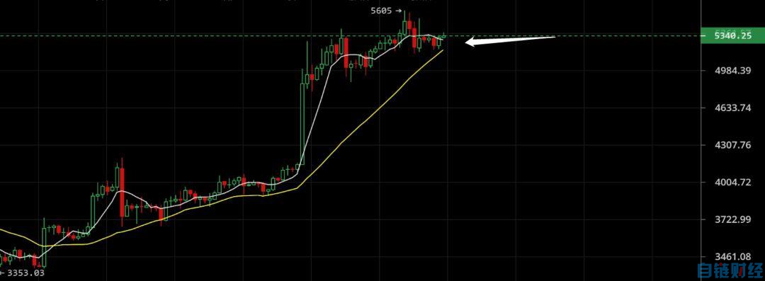 BCH领涨一马当先，比特币稳住5300美金