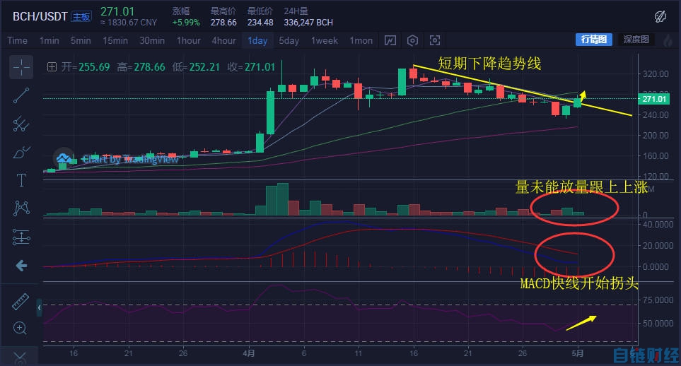 BCH领涨一马当先，比特币稳住5300美金