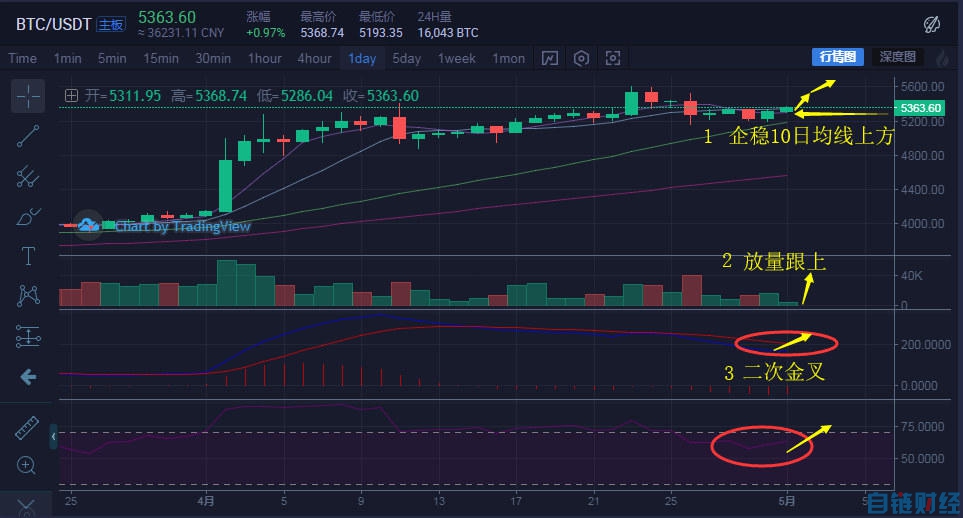 BCH领涨一马当先，比特币稳住5300美金