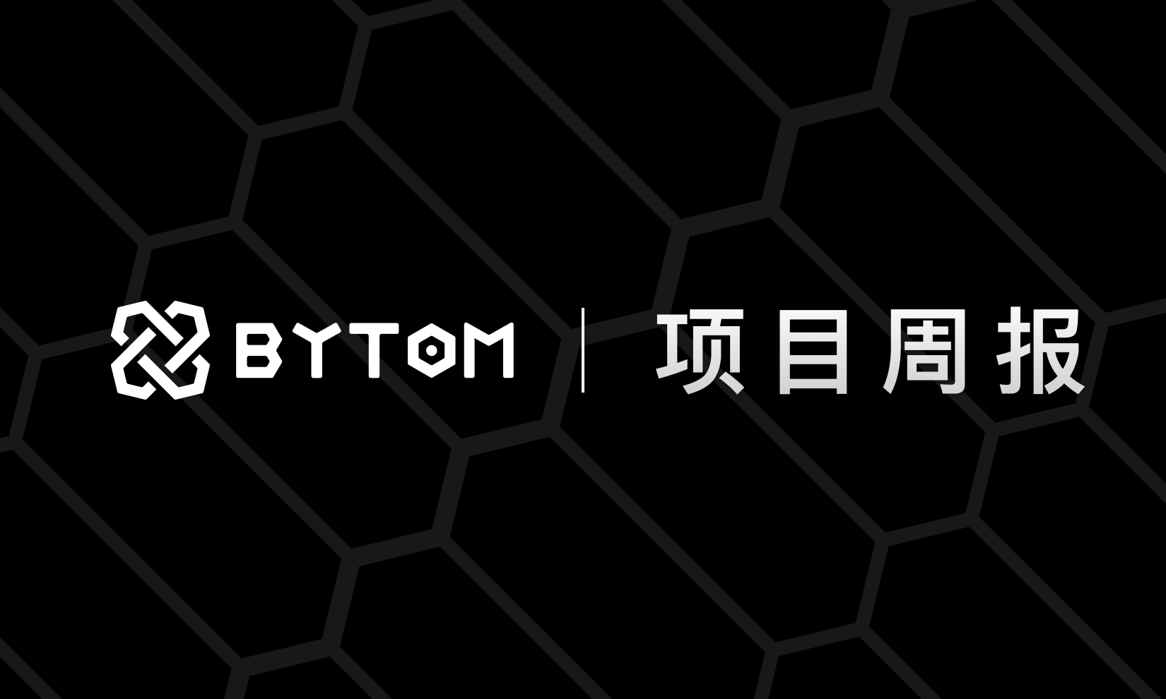 Bycoin支持BTMC跨链，BTMC Pool开源项目已开启 丨比原链项目周报（第209期）